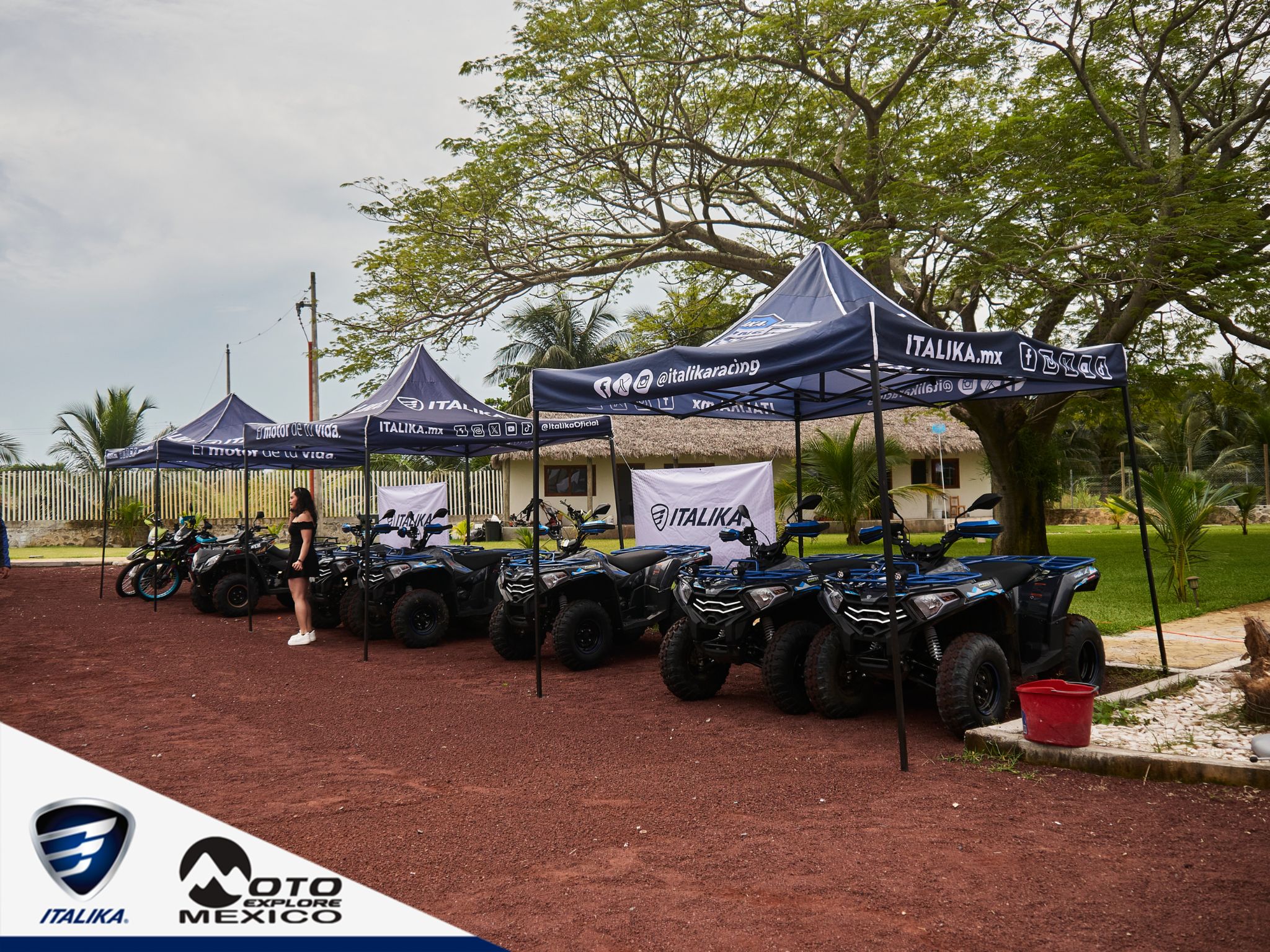 ITALIKA CHACHALACAS D1 554